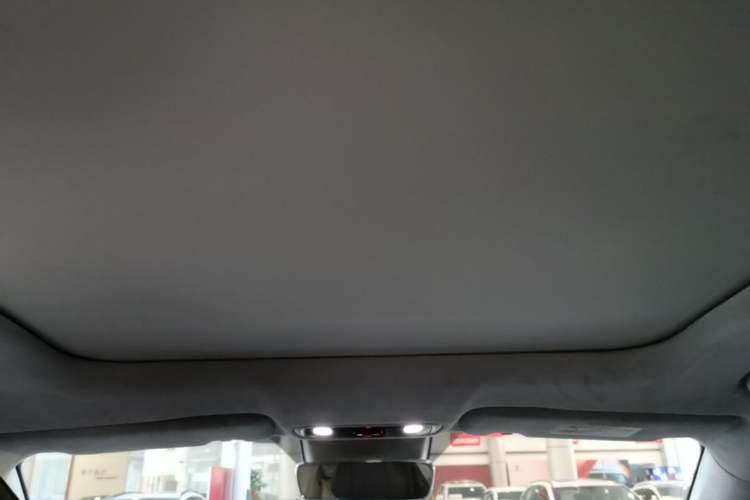 Used Leapmotor C11 2023 Range-Extended 285 Smart Enjoyment Edition Headliner