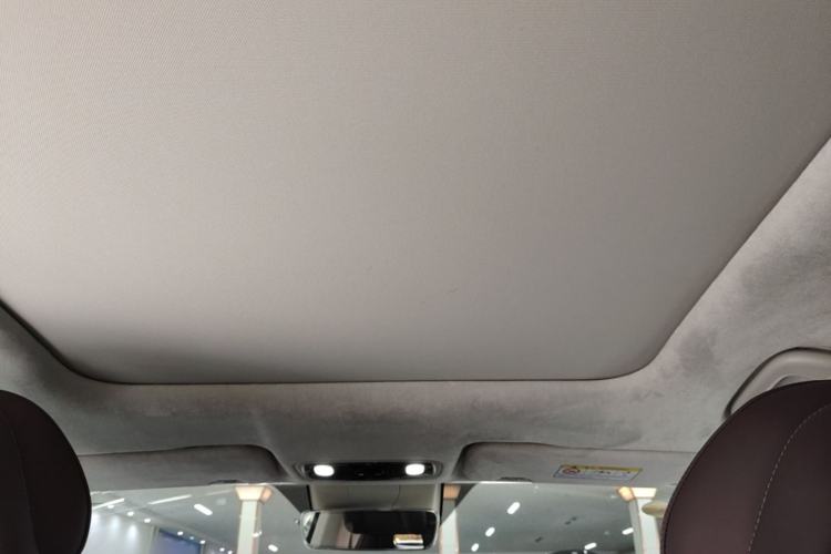 Used Leapmotor C11 2023 Range-Extended 285 Smart Enjoyment Edition Headliner