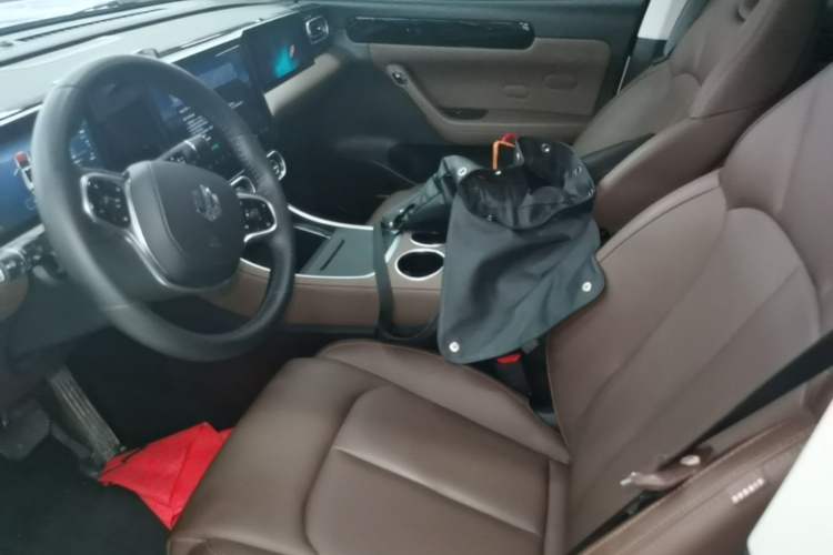 Used Leapmotor C11 2023 Pure Electric 500 Comfort Edition Left Front Seat