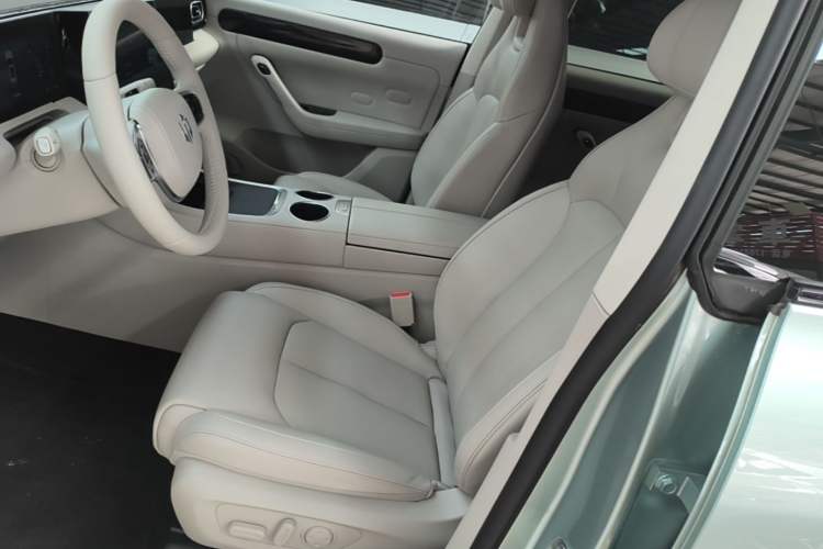 Used Leapmotor C11 2023 Pure Electric 500 Comfort Edition Left Front Seat