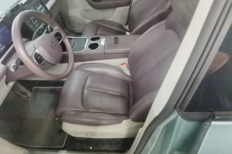 Used Leapmotor C11 2023 Pure Electric 500 Comfort Edition Left Front Seat