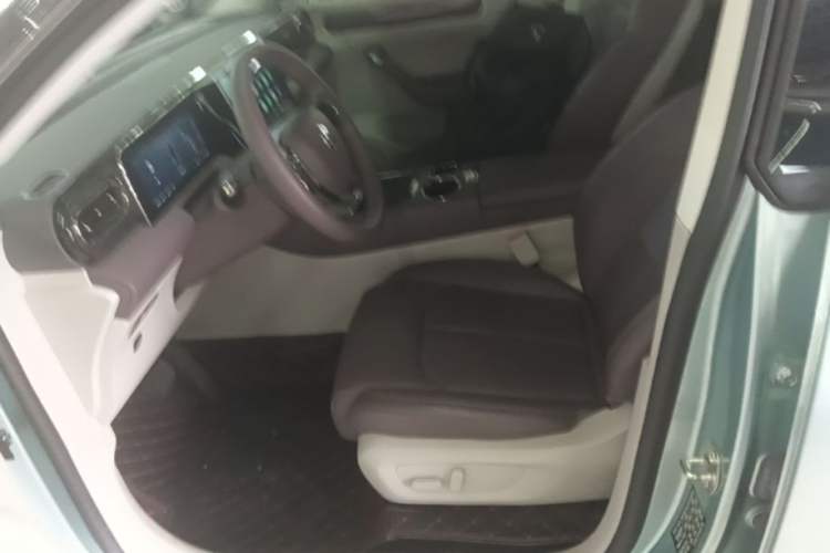 Used Leapmotor C11 2023 Range-Extended 285 Smart Enjoyment Edition Left Front Seat