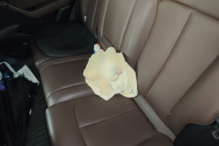 Used Leapmotor C11 2023 Extended-Range 285 Comfort Edition Left Rear Seat