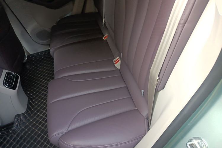 Used Leapmotor C11 2023 Range-Extended 180 Comfort Edition Left Rear Seat