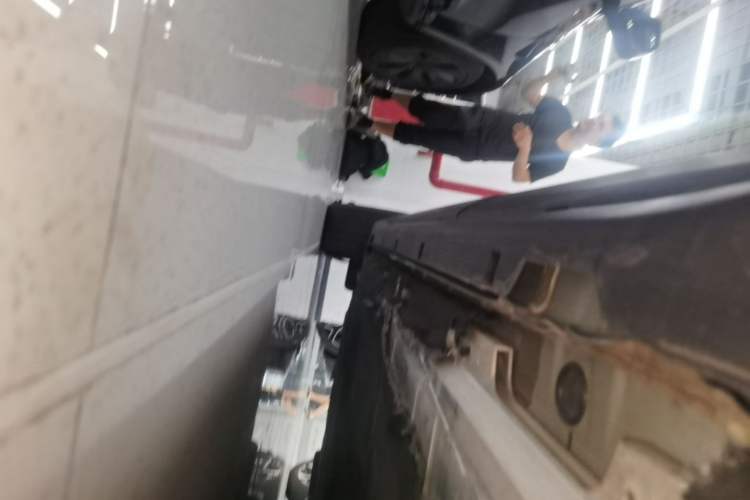 Used Leapmotor C11 2023 Pure Electric 500 Comfort Edition Left Side Sill