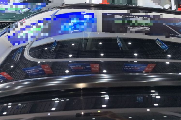 Used Leapmotor C11 2023 Pure Electric 500 Smart Edition Roof
