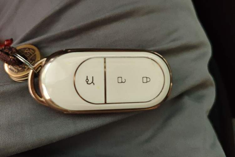 Used Leapmotor C11 2023 Extended-Range 285 Comfort Edition Vehicle Key
