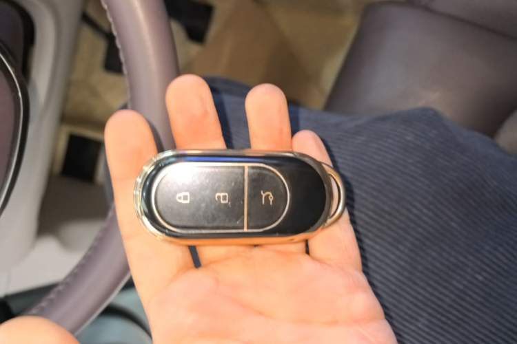 Used Leapmotor C11 2023 Pure Electric 500 Smart Edition Vehicle Key