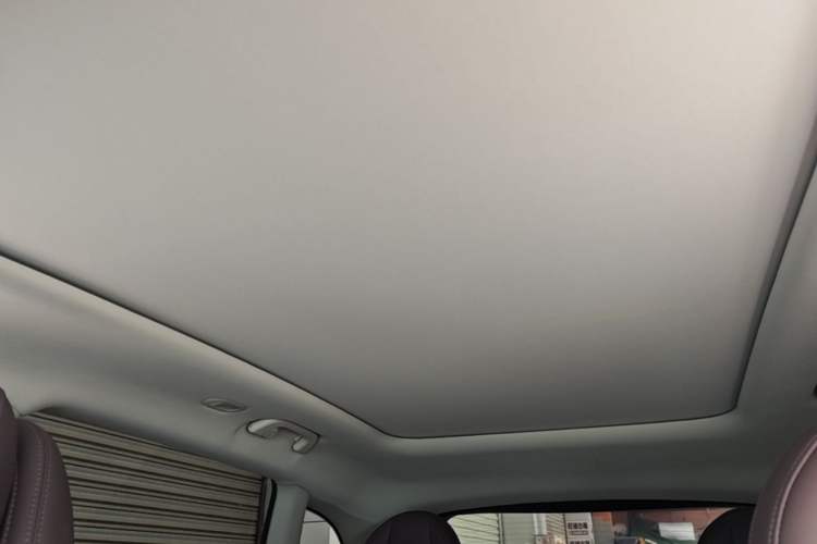 Used Leapmotor C11 2023 Extended-Range 285 Comfort Edition Headliner