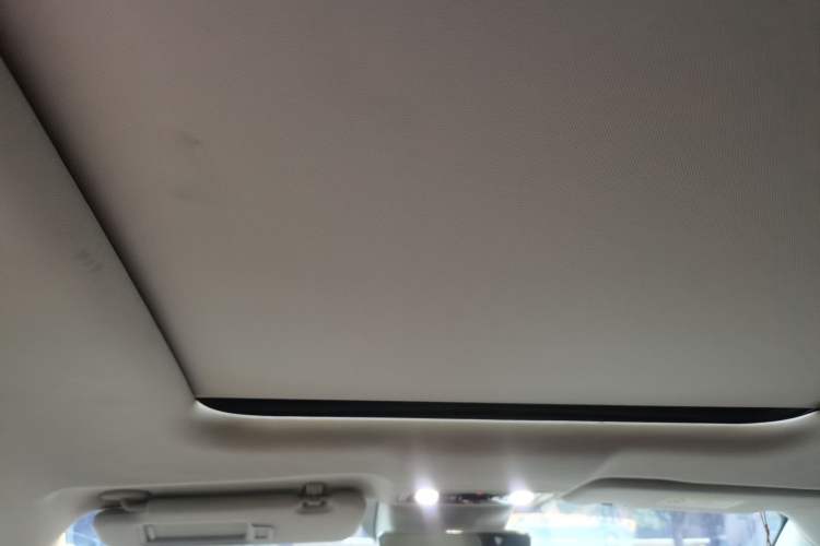 Used Leapmotor C11 2023 Pure Electric 650 ZhiXiang Edition Headliner