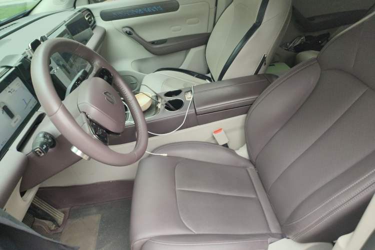 Used Leapmotor C11 2023 Pure Electric 500 Smart Edition Left Front Seat