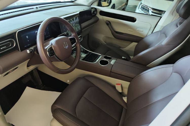Used Leapmotor C11 2023 Pure Electric 500 Comfort Edition Driver Seat