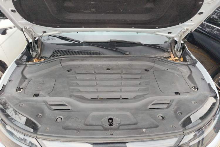 Used Leapmotor C11 2023 Pure Electric 650 ZhiXiang Edition Engine Bay