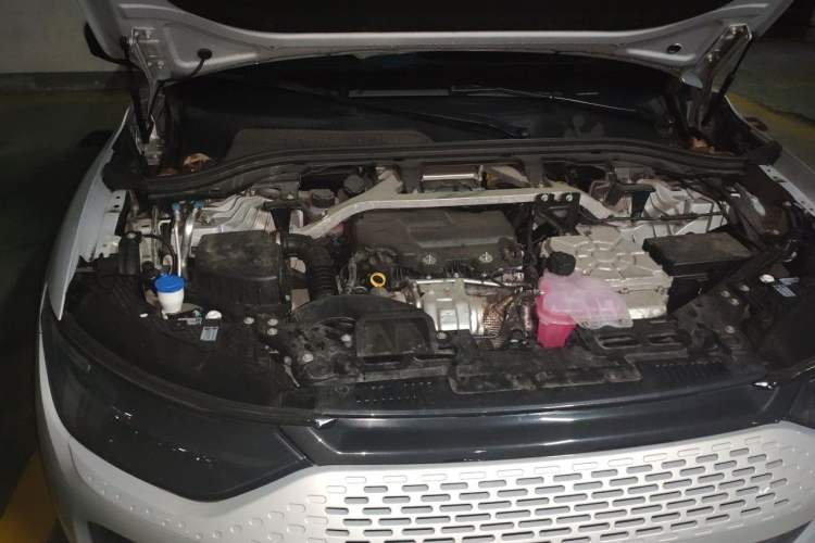 Used Leapmotor C11 2023 Range-Extended 180 Comfort Edition Engine Bay Right