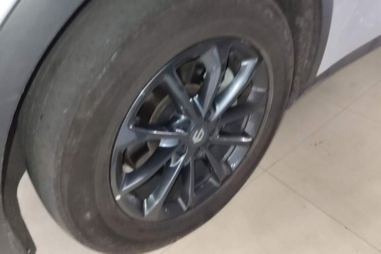 Used Leapmotor C11 2023 Pure Electric 500 Comfort Edition Exterior 4