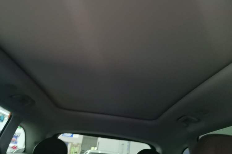 Used Leapmotor C11 2023 Range-Extended 200 Comfort Edition Headliner