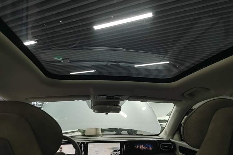 Used Leapmotor C11 2023 Pure Electric 500 Comfort Edition Headliner