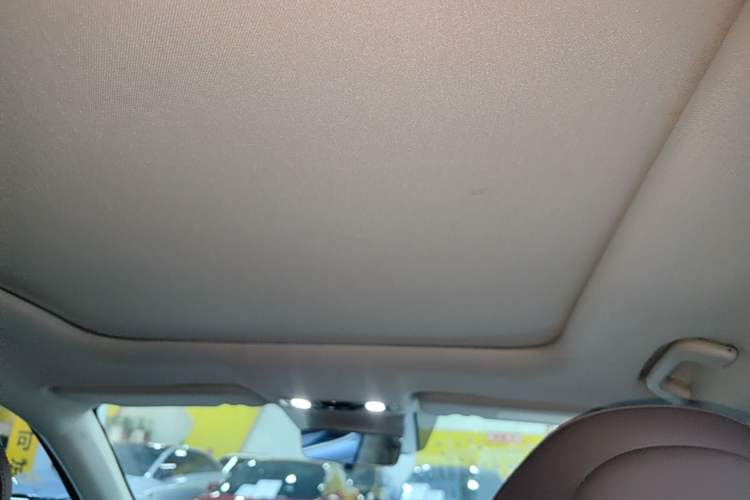 Used Leapmotor C11 2023 Range-Extended 180 Comfort Edition Headliner