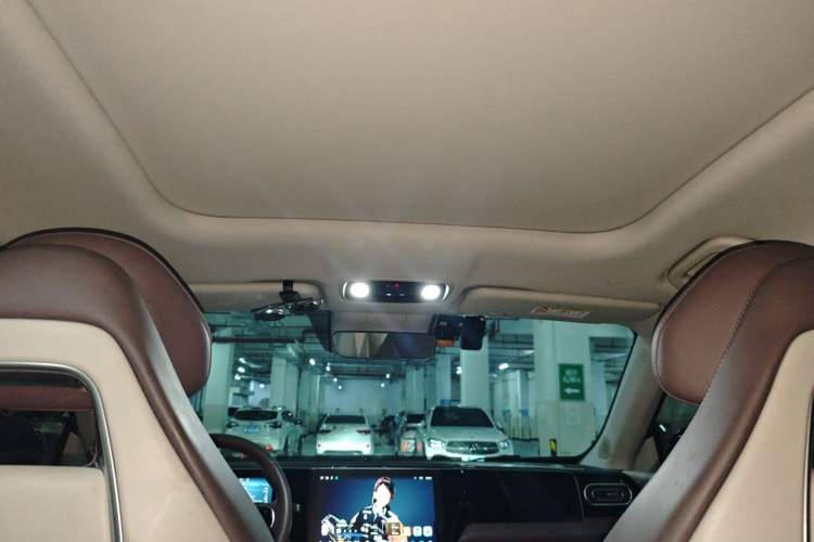 Used Leapmotor C11 2023 Range-Extended 180 Comfort Edition Headliner