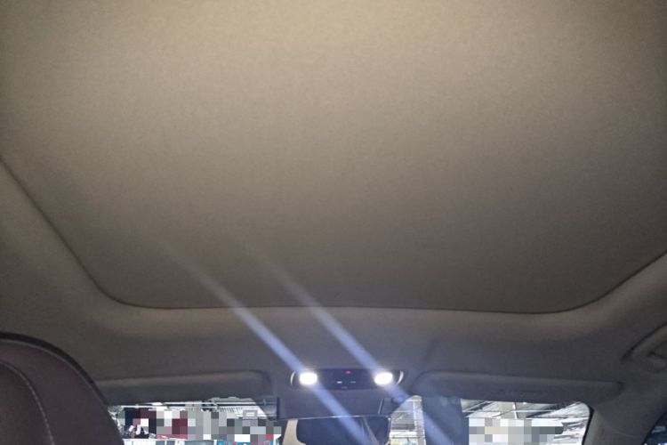 Used Leapmotor C11 2023 Pure Electric 500 Smart Edition Headliner