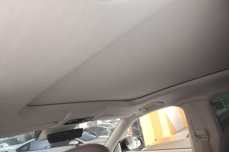 Used Leapmotor C11 2023 Range-Extended 300 Comfort Edition Headliner