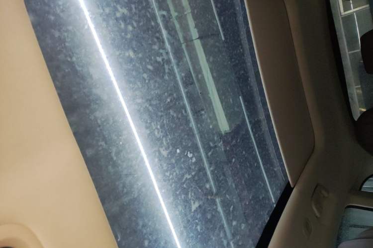 Used Leapmotor C11 2023 Range-Extended 180 Comfort Edition Headliner