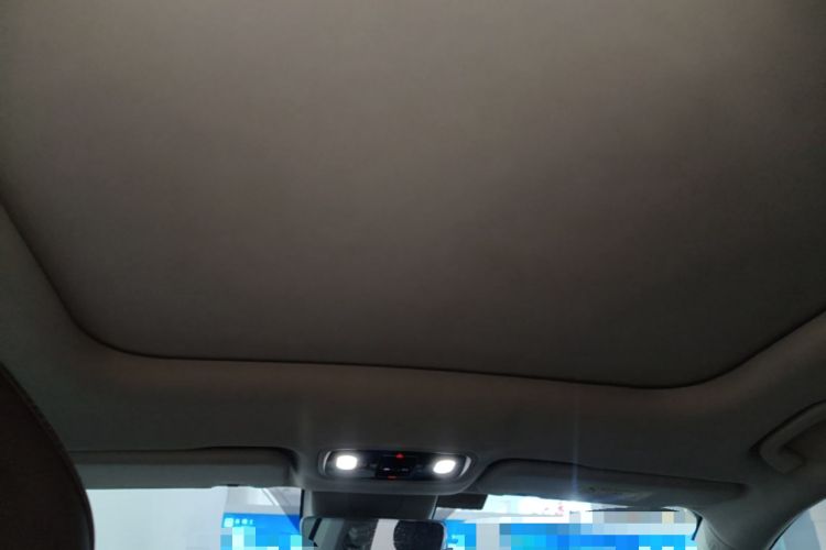 Used Leapmotor C11 2023 Range-Extended 300 Smart Enjoyment Edition Headliner