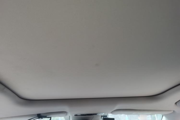Used Leapmotor C11 2023 Pure Electric 500 Comfort Edition Headliner