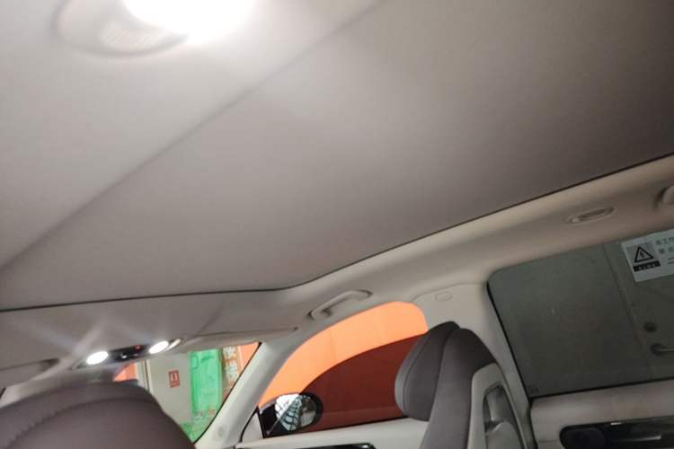 Used Leapmotor C11 2023 Pure Electric 500 Comfort Edition Headliner