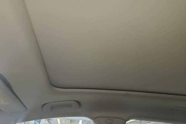Used Leapmotor C11 2023 Pure Electric 500 Comfort Edition Headliner