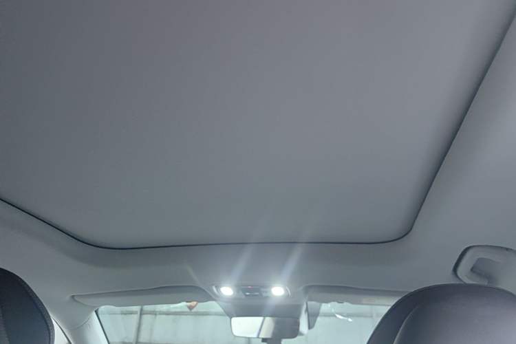 Used Leapmotor C11 2023 Pure Electric 500 Comfort Edition Headliner
