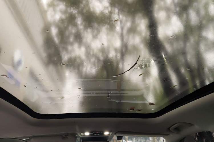 Used Leapmotor C11 2023 Range-Extended 180 Comfort Edition Headliner