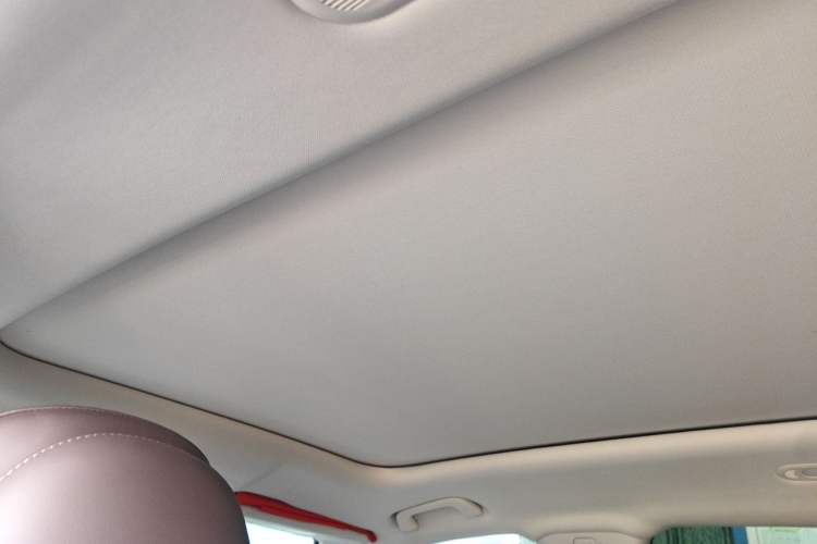 Used Leapmotor C11 2023 Pure Electric 500 Comfort Edition Headliner
