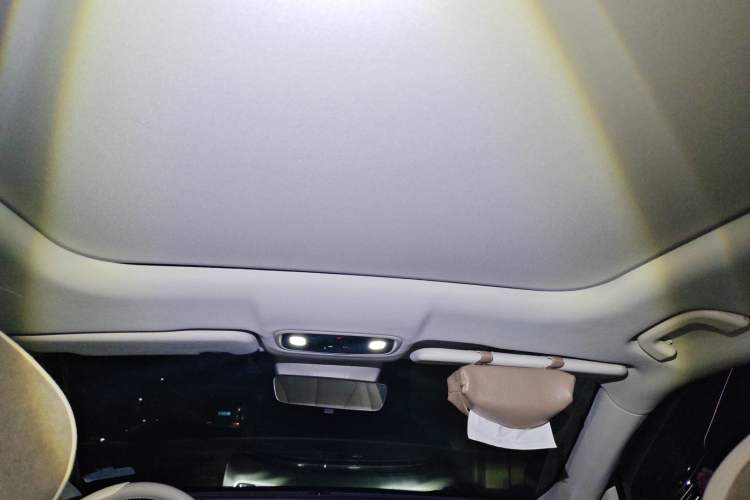 Used Leapmotor C11 2023 Pure Electric 500 Comfort Edition Headliner