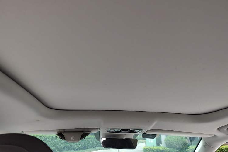 Used Leapmotor C11 2023 Range-Extended 180 Comfort Edition Headliner