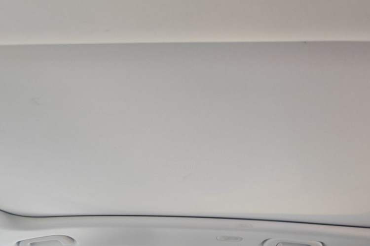 Used Leapmotor C11 2023 Pure Electric 500 Comfort Edition Headliner