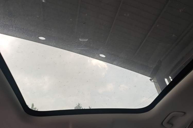 Used Leapmotor C11 2023 Pure Electric 500 Comfort Edition Headliner