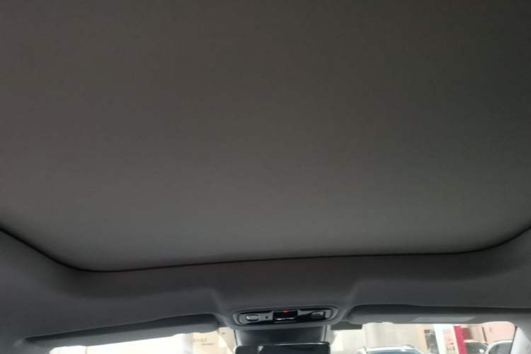 Used Leapmotor C11 2023 Extended-Range 285 Comfort Edition Headliner