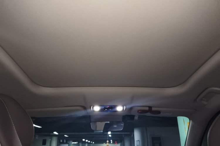 Used Leapmotor C11 2023 Pure Electric 500 Comfort Edition Headliner