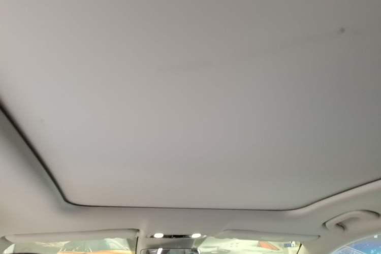 Used Leapmotor C11 2023 Pure Electric 500 Comfort Edition Headliner