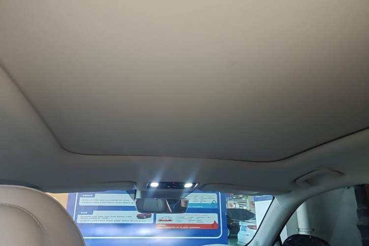 Used Leapmotor C11 2023 Pure Electric 500 Zhixing Edition Headliner