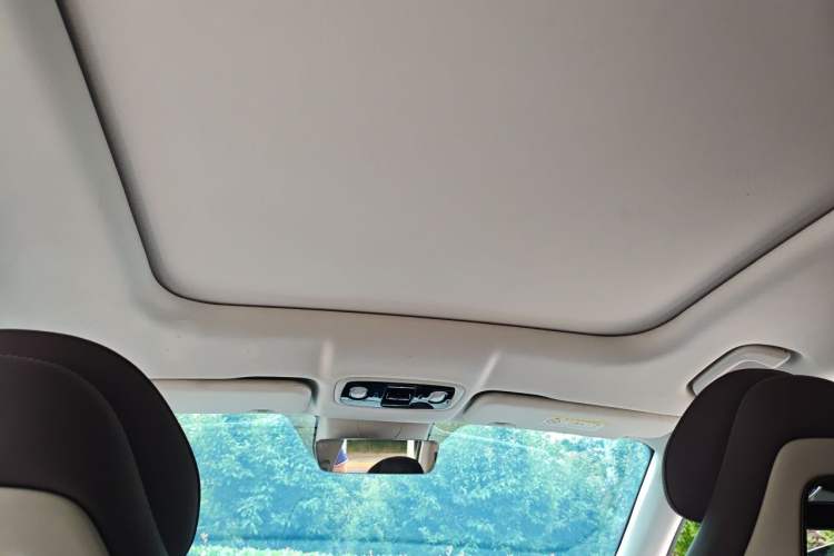 Used Leapmotor C11 2023 Pure Electric 500 Smart Edition Headliner