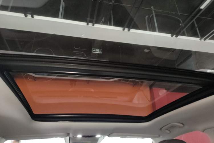 Used Leapmotor C11 2023 Range-Extended 300 Comfort Edition Headliner