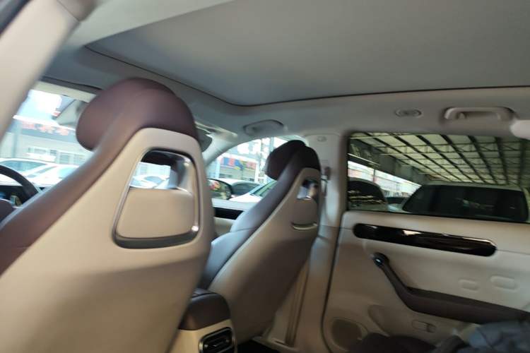 Used Leapmotor C11 2023 Pure Electric 500 Comfort Edition Headliner