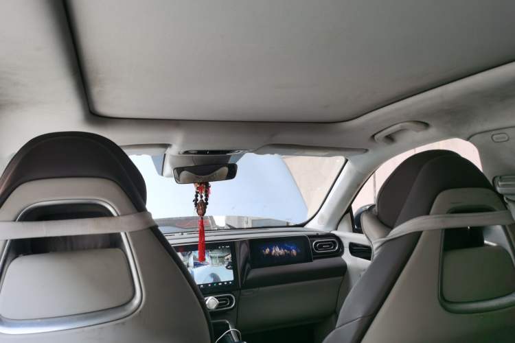 Used Leapmotor C11 2023 Pure Electric 500 Smart Edition Headliner