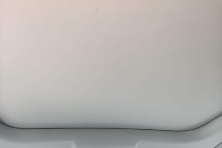 Used Leapmotor C11 2023 Pure Electric 500 Comfort Edition Headliner