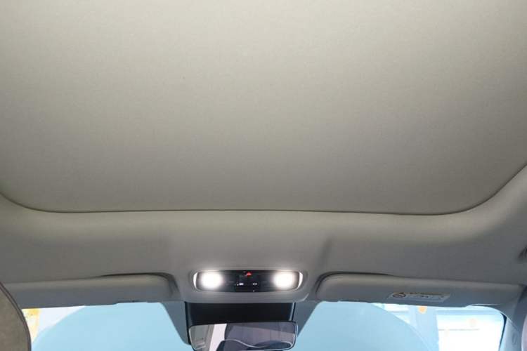 Used Leapmotor C11 2023 Range-Extended 180 Comfort Edition Headliner