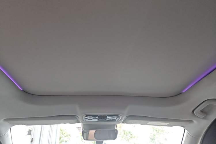 Used Leapmotor C11 2023 Range-Extended 180 Comfort Edition Headliner