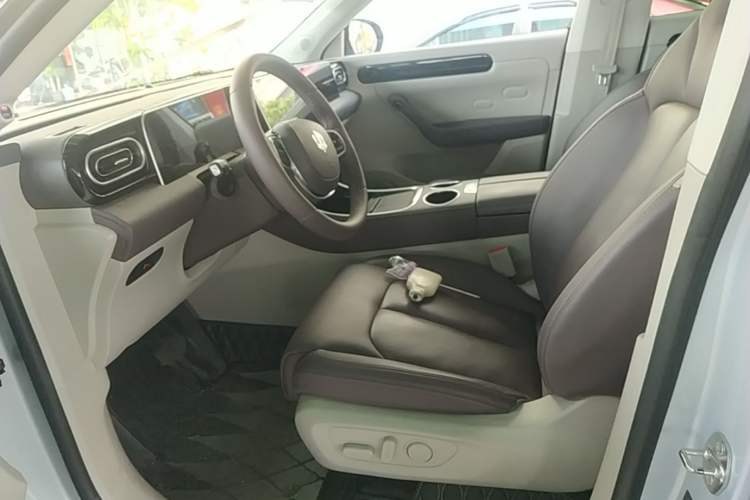 Used Leapmotor C11 2023 Range-Extended 300 Comfort Edition Left Front Seat