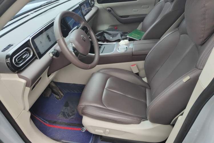 Used Leapmotor C11 2023 Pure Electric 500 Comfort Edition Left Front Seat